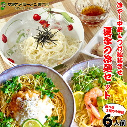 冷やし中華 つけ麺 お取り寄せ 3種6人前 メール便 本場九州 さっぱり鰹だし アラスカ風つけ麺 柑橘果汁 冷やし中華2種かぼす味 レモン味 ギフト 御中元 内祝 保存食 非常食 まとめ買い 九州生麺