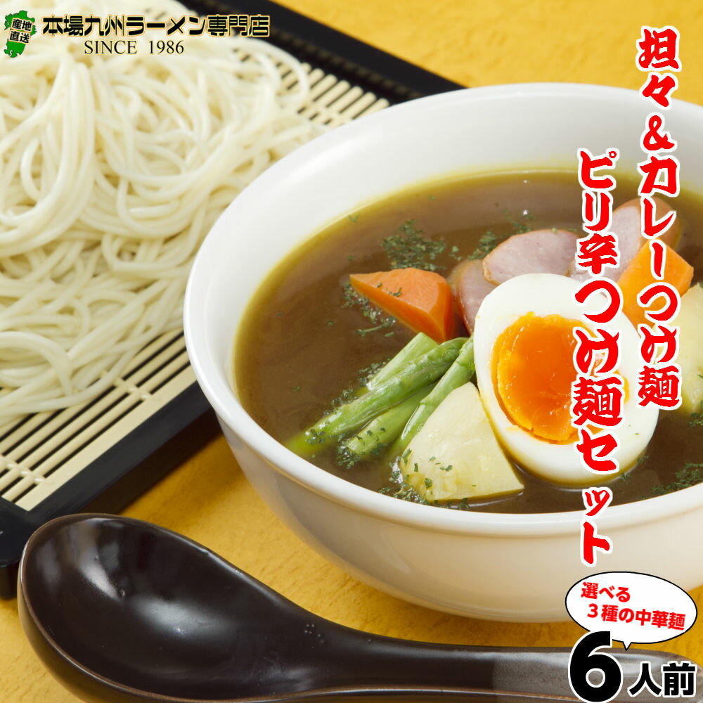 濃厚 つけ麺 詰め合わせ 2種6人前 メ