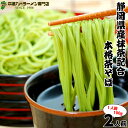 抹茶そば 1袋 2人前 静岡県産抹茶 茶蕎麦 本返しざるそばつゆ付き 乾麺タイプ お取り寄せ ご当地グルメ プレゼント そば 蕎麦 お土産 お抹茶 土産 ギフト...