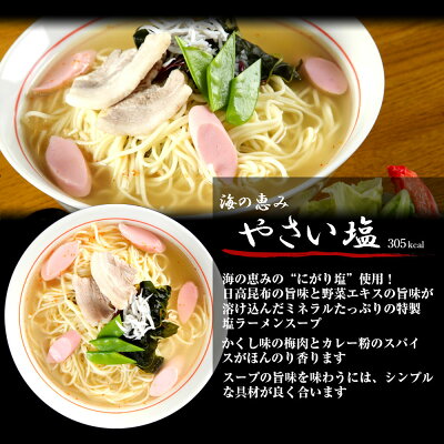 本場九州ラーメン専門店 ラーメン ポイント消化 やさい塩ラーメン2人前 人気の特製 スープ ミネラル豊富天然にがり塩使用 野菜の旨味 本場九州 お試しセット ご当地 メール便 保存食 非常食 まとめ買い お取り寄せ 画像2