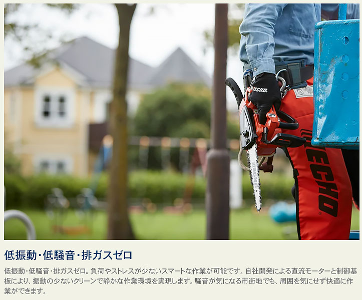 [エントリーでP10倍◆8/11 1:59まで] [数量限定目立てキット付き] [プラスワンキャ...