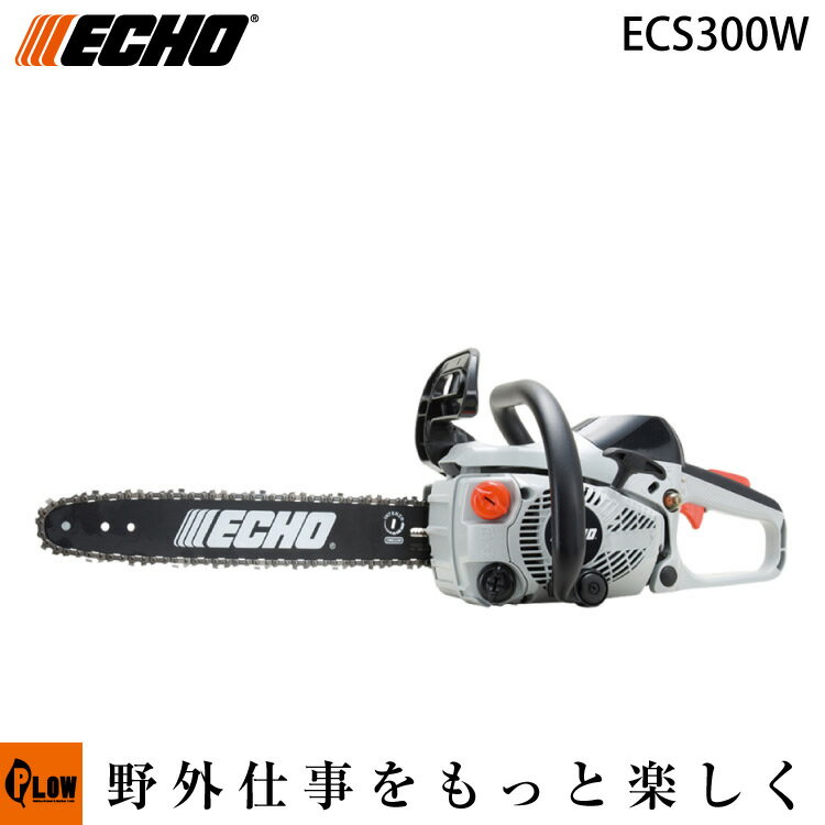 ecs300w.jpg ecs300w.jpg