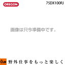 y|Cg5{51z OREGON IS [`F[ 75DX100RJ