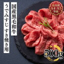 熟成飛騨牛 山勇牛 ミスジブロック用 500g ミスジ ブロック肉 A4/A5 飛騨牛 和牛 メス牛 雌牛 牛肉 冷蔵 熟成肉 熨斗対応 父の日ギフト お誕生日 還暦 贈答用 ブランド牛 山勇畜産 肉ギフト 熨斗 外のし 稀少部位 [R]