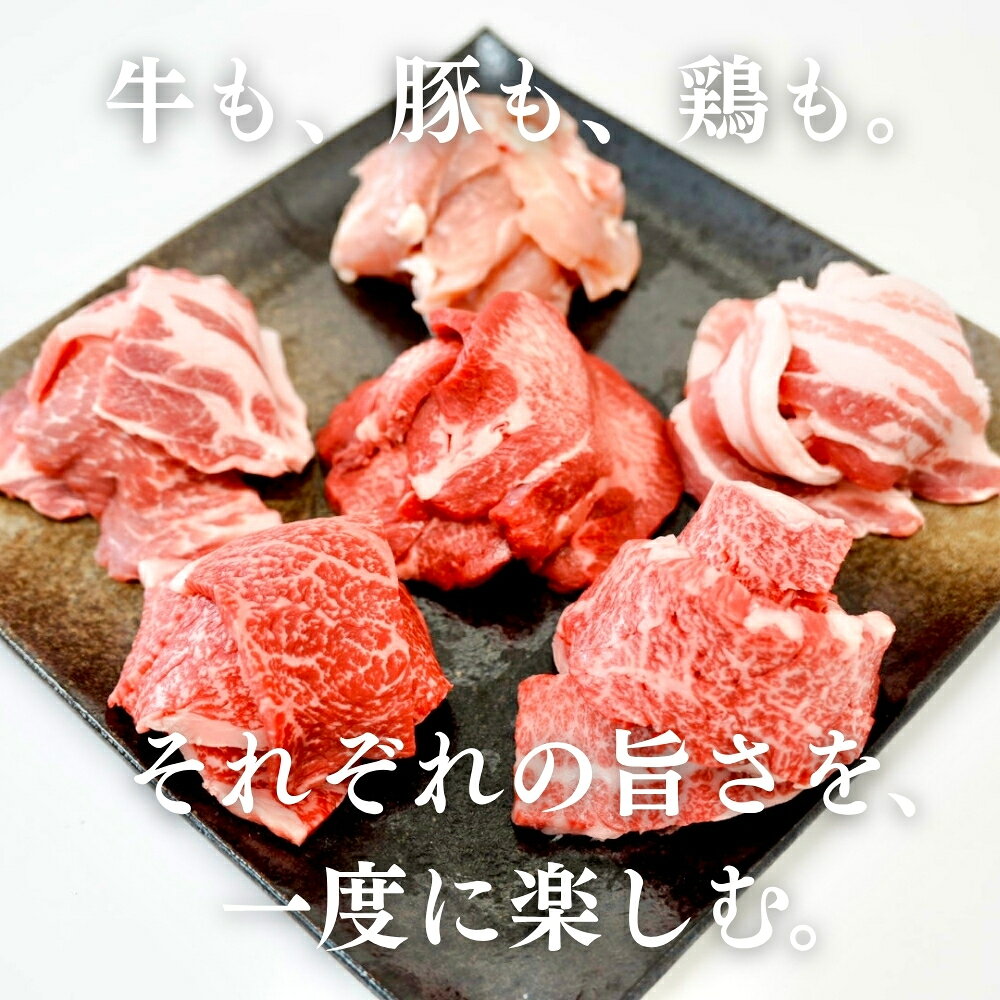 焼肉 セット メガ盛り バーベキュー 肉処三代目本多こだわり極撰バーベキューセット 合計2,450g 2.45キロ 焼肉セット 送料無料 和牛 国産 豚肉 牛肉 牛たん 鶏肉 キャンプ 福袋 肉袋 お買い得 お取り寄せ 冷凍 食品 BBQ ステーキ 6種盛り焼肉 GW お盆 お肉 honda29-10000043 肉処 三代目本多 サンプル画像3