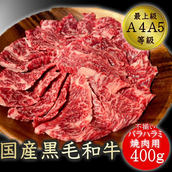 【ふるさと納税】近江牛 カルビ 万能スライス 合計1,000g (500g×2パック) 切り落とし お肉 牛肉 グルメ ブランド牛 食べ物 食品 和牛 誕生日 プレゼント ギフト おすすめ 人気 お取り寄せ 贈り物 特産品 お礼の品 冷凍 国産 送料無料