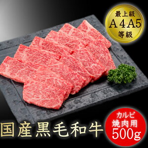 焼肉 カルビ 和牛 牛肉 ギフト 国産黒毛和牛A4A5等級のみ カルビ焼用500g 福島牛 キャンプ お取り寄せ グルメ バーベキュー