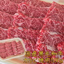 焼肉 国産黒毛和牛A4A5等級のみ カルビ焼用500g 福島牛 牛肉 キャンプ 肉