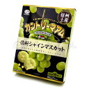信州土産 不二家チョコチップクッキー カントリーマアム 信州シャインマスカット 16枚入(ネコポス不可)(4)