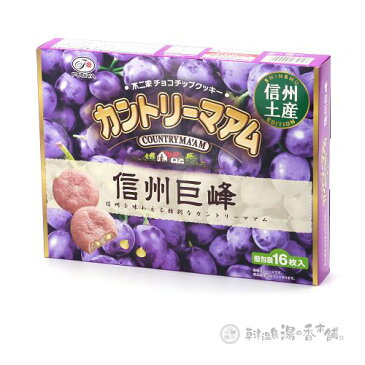 信州限定　不二家チョコチップクッキー　信州巨峰味　カントリーマアム　16枚入(ネコポス不可)