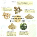 【送料無料】「天地開闢 エムザイム 500ml 3本セット」[ 天地開闢/エムザイム、EM、EM菌、等販売] 2