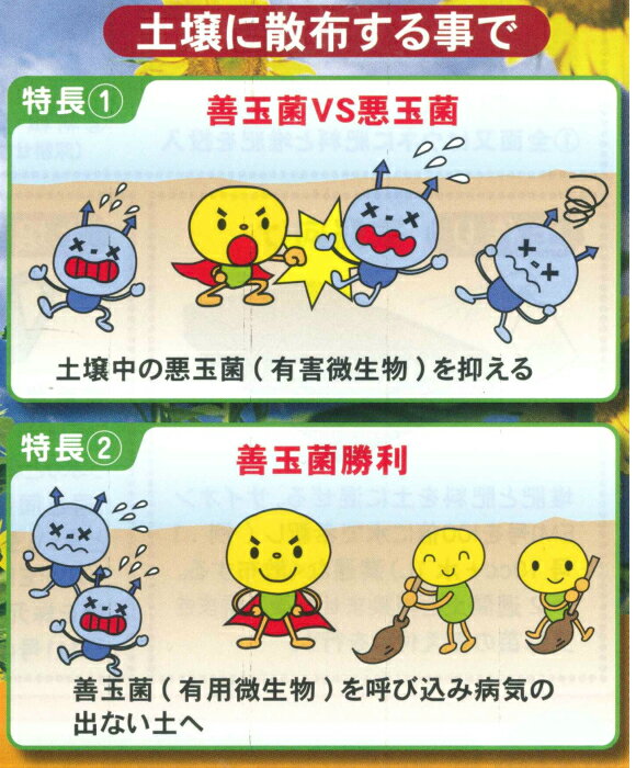 ����̵�� �֥������� EM1�� 1L��1000ml�ϡ� �Υ�������/EM1��,EM,EM��,�������