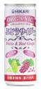 送料無料 光食品 有機JAS認証 オーガニックぶどうサイダー+レモン 250ml×30缶