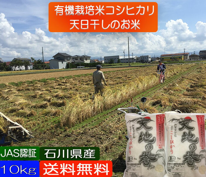 令和5年産 新米 お米 10kg 5kgX2 【送料無料】無農薬 天日干し 有機米 自然農法 「天地の誉」 白米 玄米 5分づき精米 ・こしひかり EM 農法《JAS》JAS認証 ［無農薬・有機栽培米・オーガニック・有機・EM菌］ ギフト