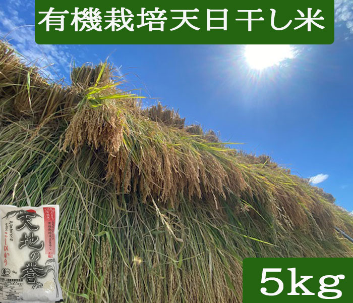 /̵/̵/ŷ/ˡ/ͭ/ͭ/ͭ/JASǧ/Ƥ̤////֤Ť//̵/ҥ/¸ǯ/òɴ/Ҥ//5/10kg/20kg/30kg/2kg///ʤʤĤܤ/ۤޤ/˥///EM