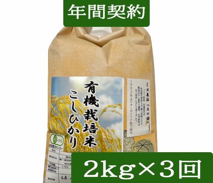 ۤŷԾŹ㤨֡ǯַ ̵ۡۡͭ ͭƥҥڤλ2kg3ȯ/JASǧڡ7ǯ EMˡҤ̵/ͭ ͭơסְʧסǯַ׿Ƥ920νв٤ˤʤޤפβǤʤ13,000ߤˤʤޤ