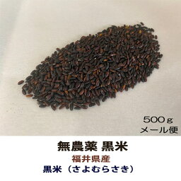 令和5年産 無農薬 古代米 黒米（さよむらさき） 500gメール便 送料無料 古米