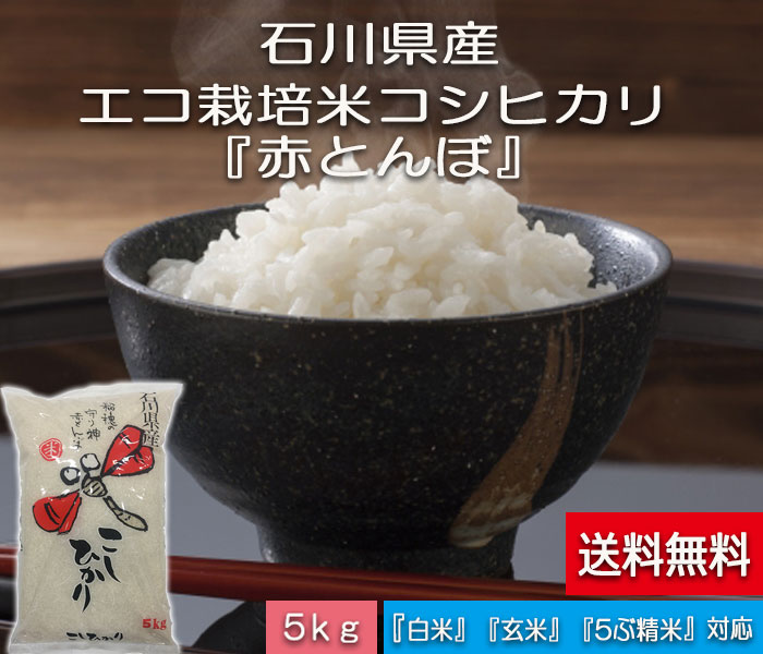 お米 5kg 送料無料 コメ こめ コシヒカリ 白米 「加賀百万石 『赤とんぼ米』 こしひかり 令和元年産 新米・石川県産・減農薬