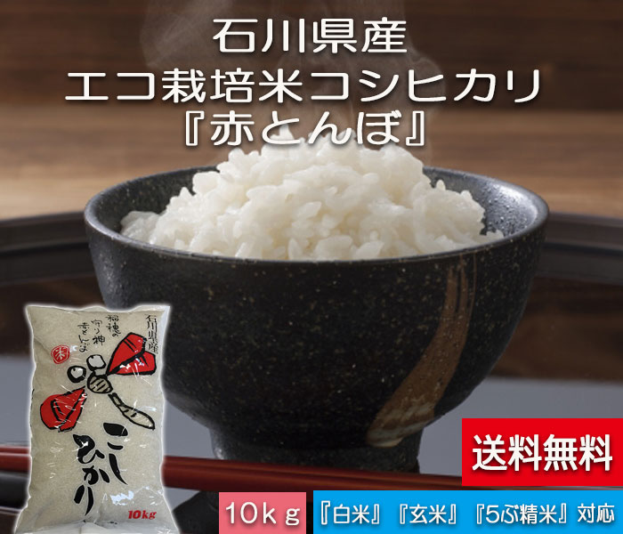 ֲòɴ֤ȤƤҤ10硦30ǯơ