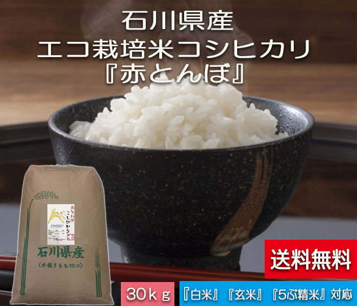 お米 30kg 送料無料 コメ こめ コシヒカリ 白米 「加賀百万石 『赤とんぼ米』 こしひかり 令和元年産 新米・石川県産・減農薬