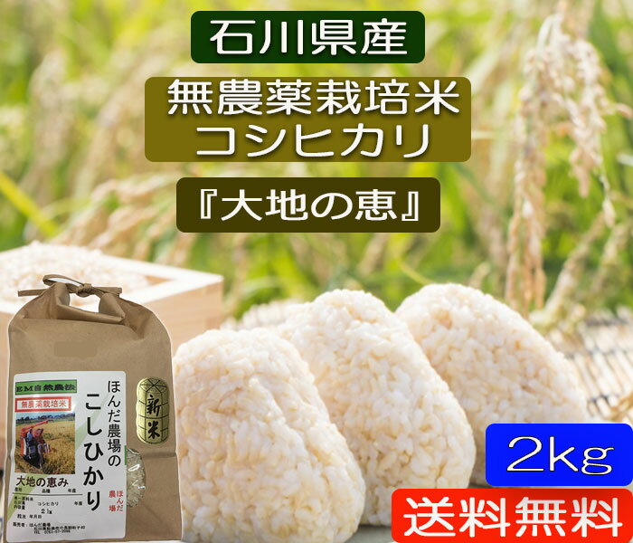 令和5年産 新米 お米 2kg 無農薬 送料