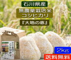 令和5年産 新米 お米 2kg 無農薬 送料無料 コシヒカリ 「白米」「玄米」「5分づき精米」「 無洗米」 からお選びください。 「大地の恵み」 EM農法 無農薬栽培米 安心安全 コシヒカリ 石川県産［無農薬/EM菌］