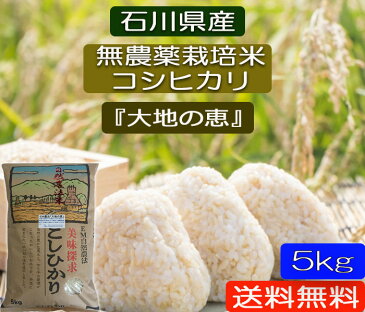 お米 5kg 【送料無料】無農薬 白米 玄米 5分づき精米「大地の恵み」 EM農法 無農薬栽培米 安心安全 コシヒカリ 令和元年産 新米 石川県産 白米 玄米 5分づき精米からお選びください。