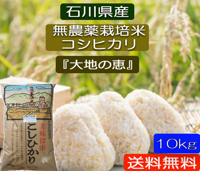 令和5年産 新米 【送料無料】無農薬 「白米」「玄米」「5分づき精米」「 無洗米」「大地の恵み」10kg EM農法 無農薬栽培米 安心安全コシヒカリ 石川県産［無農薬/EM菌］「大地の恵み」