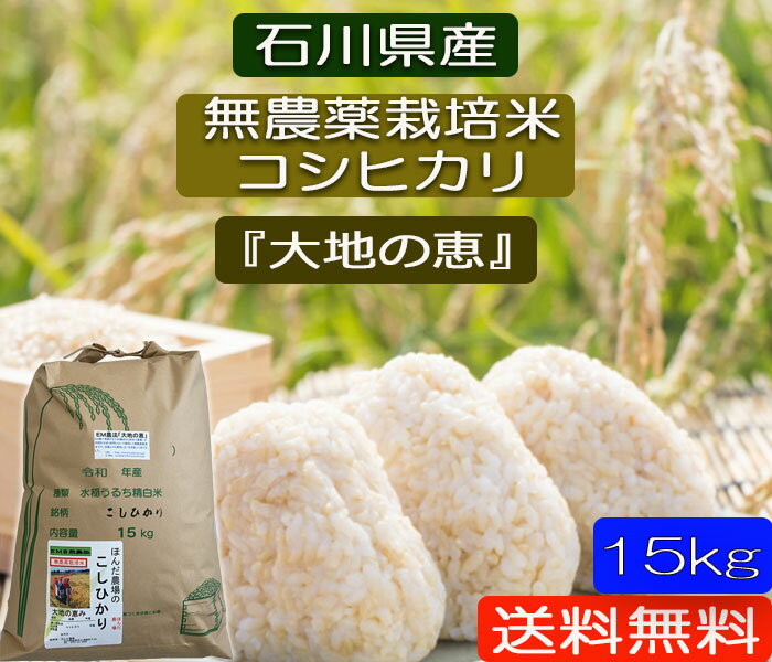 令和5年産 お米 15kg 【送料無料】無農薬 「白米」「玄米」「5分づき精米」「 無洗米」対応 「大地の恵み」 EM農法 無農薬栽培米 安心安全コシヒカリ 石川県産 白米 玄米 5分づき精米からお選びください。