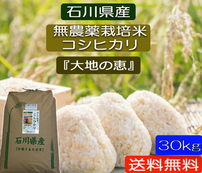 楽天ほんだ農場楽天市場店令和5年産 お米 【送料無料】 30kg 無農薬 「白米」「玄米」「5分づき精米」「 無洗米」対応 「大地の恵み」EM自然農法 無農薬栽培米 安心安全コシヒカリ 石川県産　お米 米ぬか効果［無農薬/EM菌］ 新米