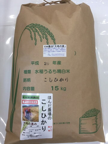 【年間契約】無農薬米「大地の恵」15kg・12回発送/令和二年産 新米 EM農法・無農薬栽培米こしひかり［一括払い］（定期購入）新米は9月30日からの出荷になります。