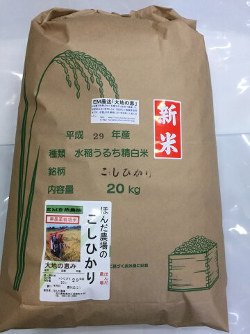 【年間契約】「大地の恵」20kg・12回発送/令和二年産 新米 ・EM農法・無農薬栽培米こしひかり［一括払い］（定期購入）新米は9月30日からの出荷になります。