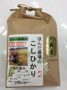 送料無料 無農薬 白米 玄米 5分づき精米「大地の恵み」2kg EM農法 無農薬栽培米 安心安全 コシヒカリ 令和二年産 新米 石川県産［無農薬/EM菌］