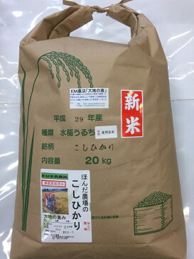 【年間契約】「大地の恵」20kg・12回発送/令和二年産 新米 ・EM農法・無農薬栽培米こしひかり［一括払い］（定期購入）新米は9月30日からの出荷になります。