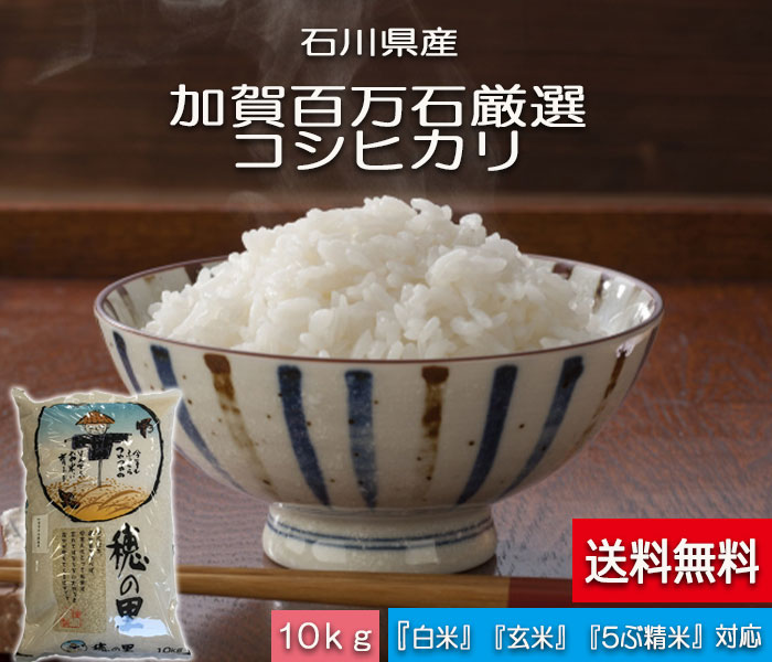 お米 送料無料 10kg こしひかり　「加賀百万石厳選」 白米 玄米 5分づき精米 無洗米 からお選びください。 令和元年産 新米・石川県産