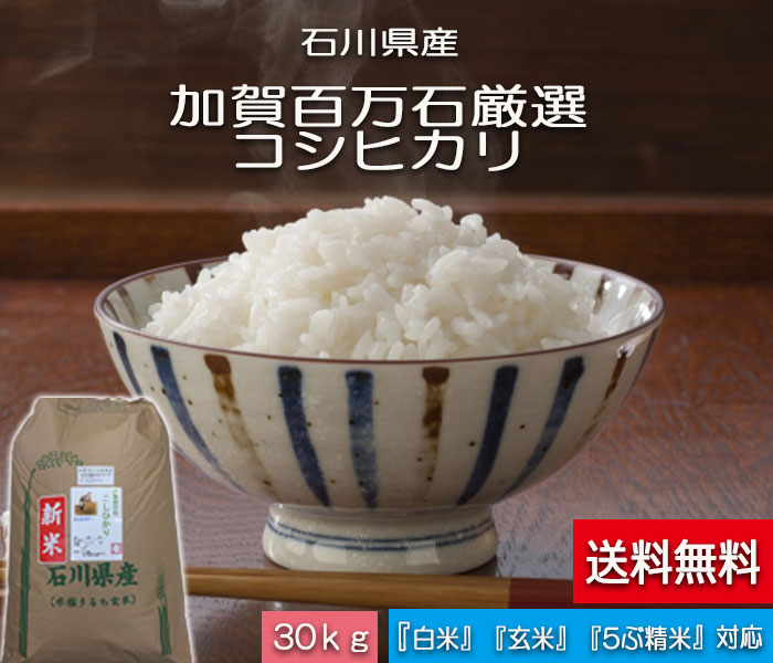 お米 特価 令和元年産 【送料無料】 30kg 加賀百万石厳選　こしひかり」・白米 玄米 5分づき精米 無洗米 からお選びください。［コシヒカリ］石川県産