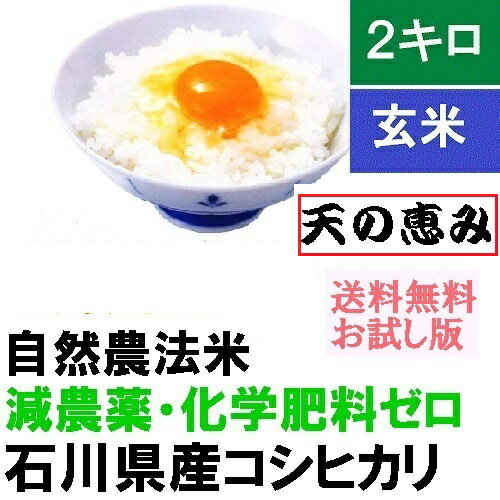 お米 玄米 【送料無料】 2kg 「自然農法米 こしひかり 天の恵み」 減農薬 石川...