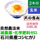 人気ランキング第24位「ほんだ農場楽天市場店」口コミ数「4件」評価「4.5」令和5年産 新米 お米 玄米 【送料無料】 2kg 「自然農法米 こしひかり 天の恵み」 減農薬 石川県産［減農薬、コシヒカリ、お米、等販売］