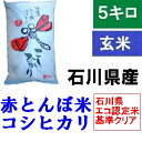 送料無料 「加賀百万石 赤とんぼ米 こしひかり」玄米 5kg 令和元年産 新米・石川県産・減農薬