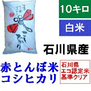 送料無料 「加賀百万石 赤とんぼ米 こしひかり」白米 10kg令和元年産 新米・石川...