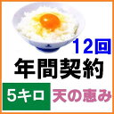 【年間契約】【送料無料】「自然農法米 こしひかり 天の恵み」5kg・12回発送/令和5年産 新米［一括払い］減農薬・特別栽培米「定期購入」