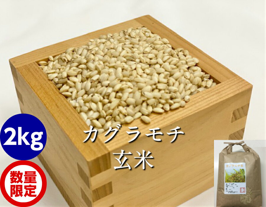 令和5年産 新米 カグラもち玄米 2kg[餅米・モチ等販売]