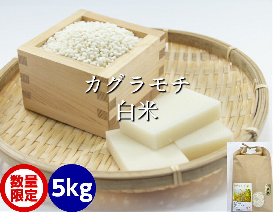 令和5年産 新米 送料無料 もち米・白米 5kg（カグラもち）[餅米・モチ等販売]