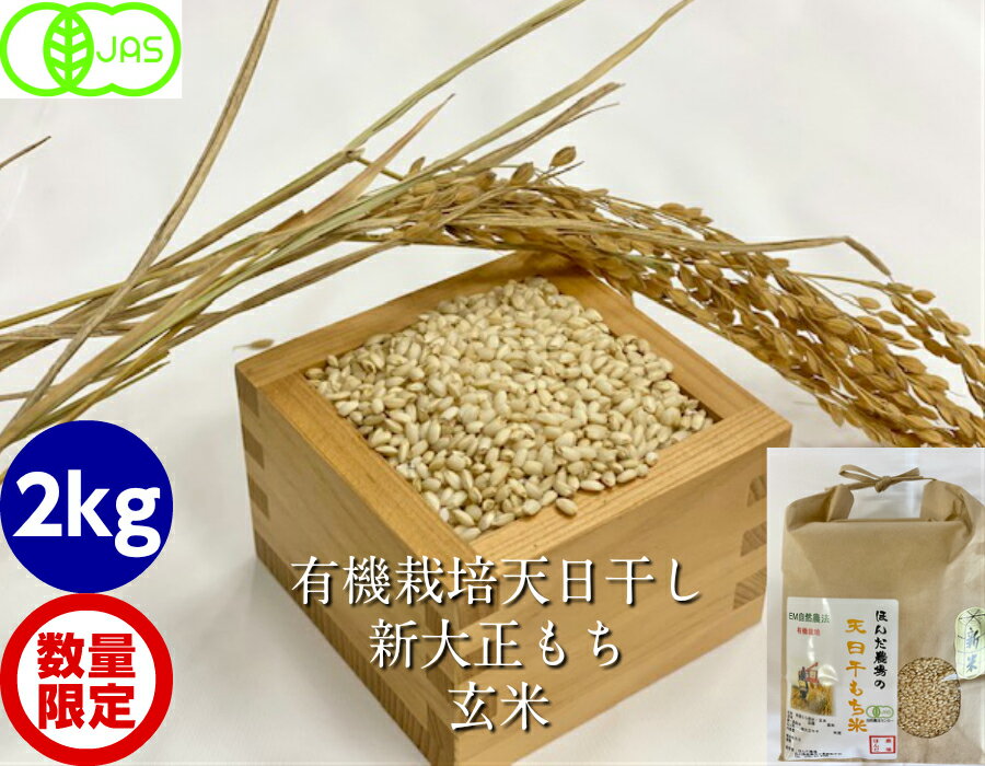 令和5年産 新米 送料無料 もち米・玄米 2kg 新大正モチ 有機栽培・天日干し・JAS認証・オーガニック［有機/有機栽培/無農薬/もち米］