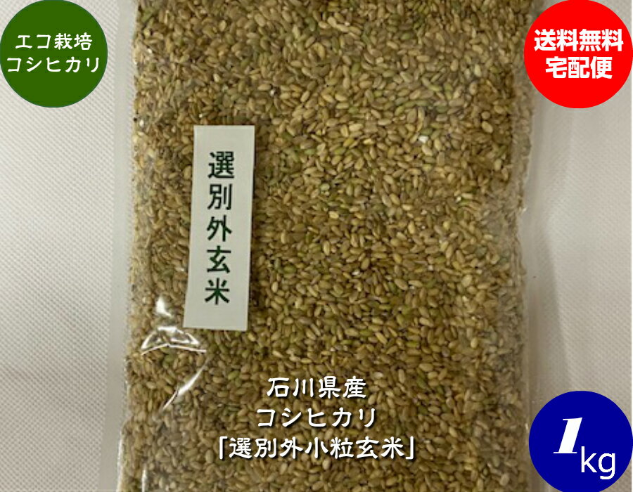 送料無料 令和5年産 エコ栽培米コシヒカリ「選別外小粒玄米」 1kg 宅配便