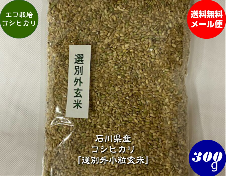 令和5年産 新米 送料無料 エコ栽培米コシヒカリ「選別外小粒玄米」 300g メール便 小鳥・鳩・スズメなど