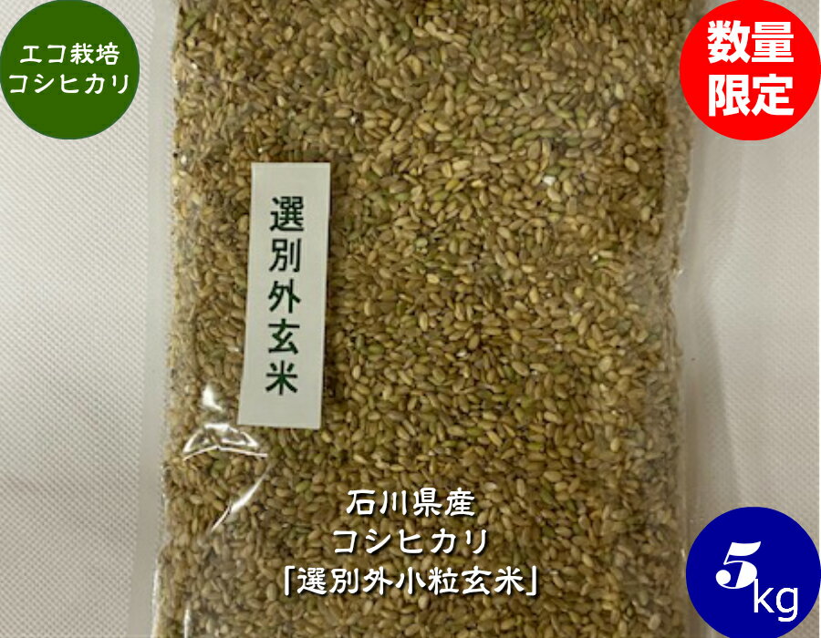 令和5年産 送料無料 エコ栽培米コシヒカリ「選別外小粒玄米」 5kg 宅配便