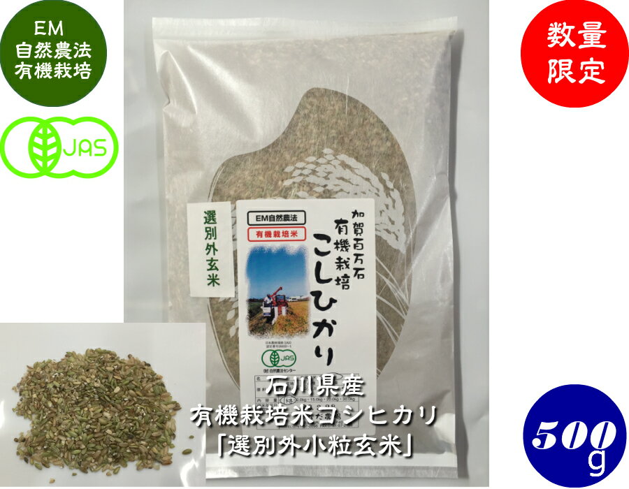 令和5年産 新米 送料無料 JAS認証・有機栽培米コシヒカリ「選別外小粒玄米」 500g メール便