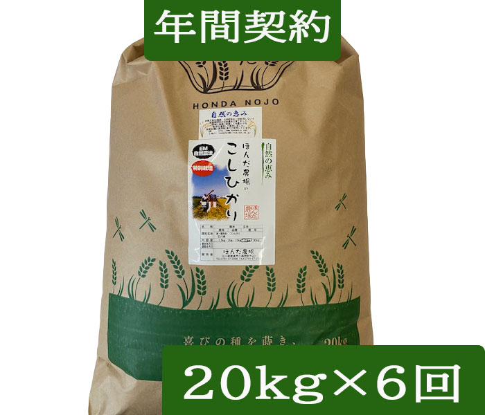 楽天市場】コシヒカリ 種籾の通販 楽天市場】コシヒカリ 種籾の通販