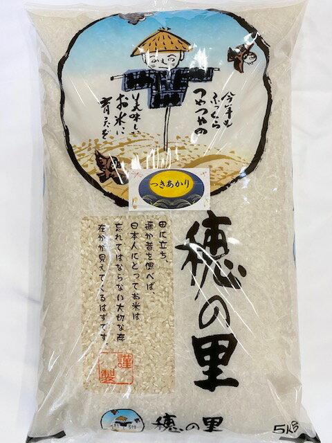 令和5年産 新米 お米 10kg 【送料無料】 石川県産 「